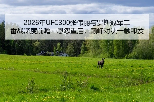 nian-zhang-wei-li-yu-luo-si-guan-jun-er-fan-zhan-shen-du-qian-zhan-en-yuan-chong-qi-dian-feng-dui-jue-yi-chu-ji-fa-2-375.jpg